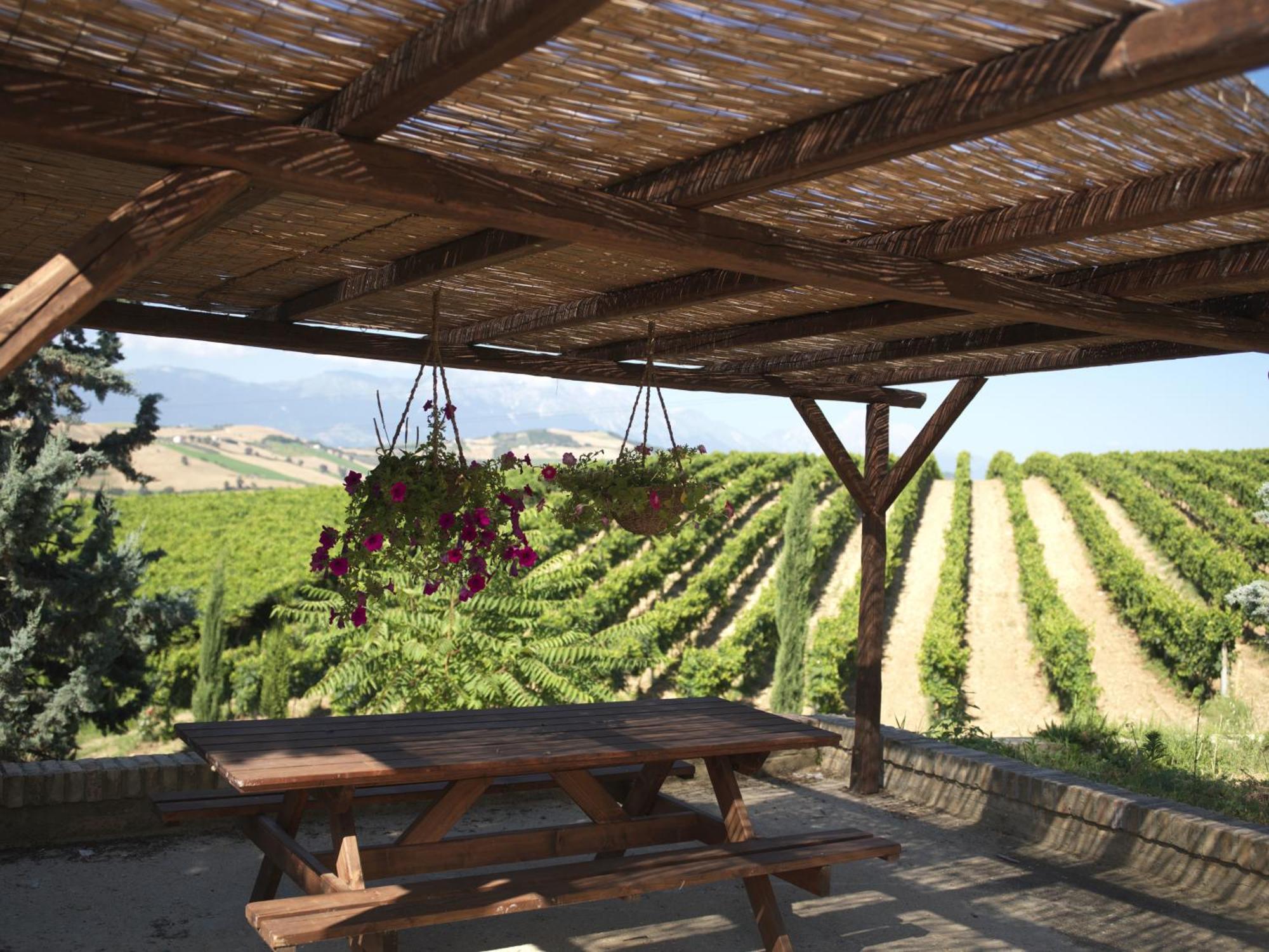 Contado San Lorenzo B&B And Wine Castilenti Exterior foto