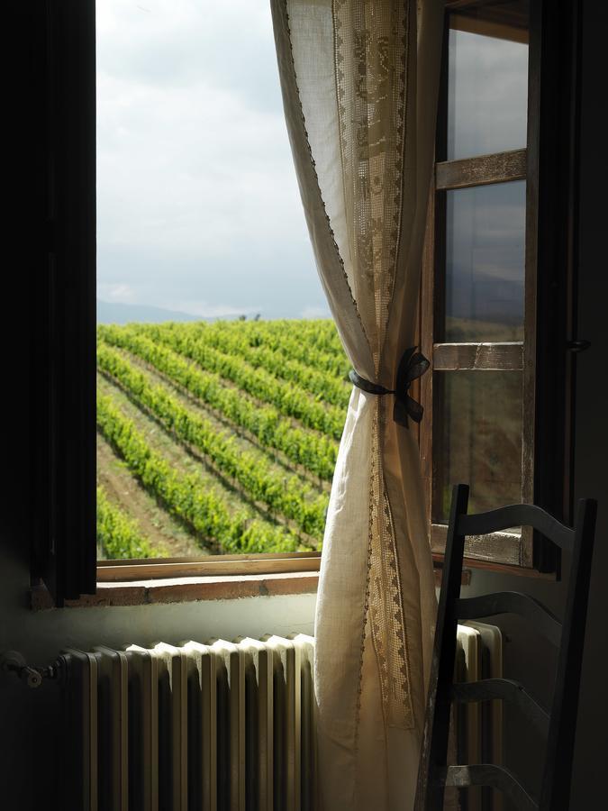 Contado San Lorenzo B&B And Wine Castilenti Exterior foto